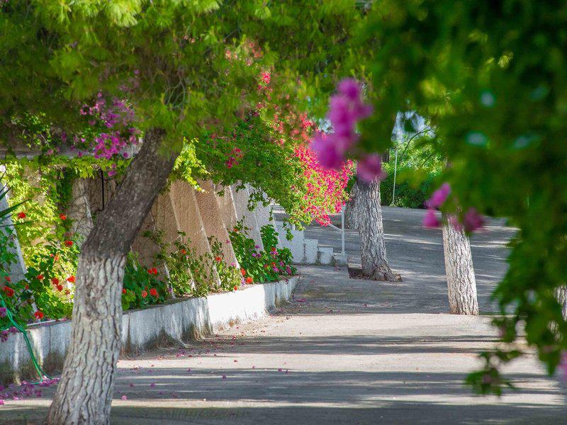 4C7CAB04A3AEA727E21E2DF8F03A525C