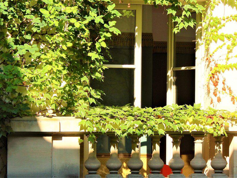 1AC09C4466113DAD2987884F1AC13193