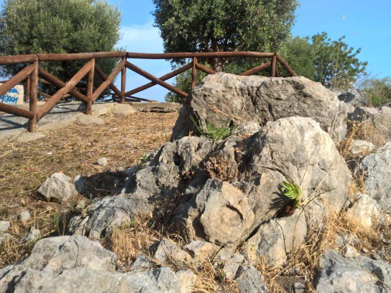 BDD227AFE1646D52978A589C2681485D