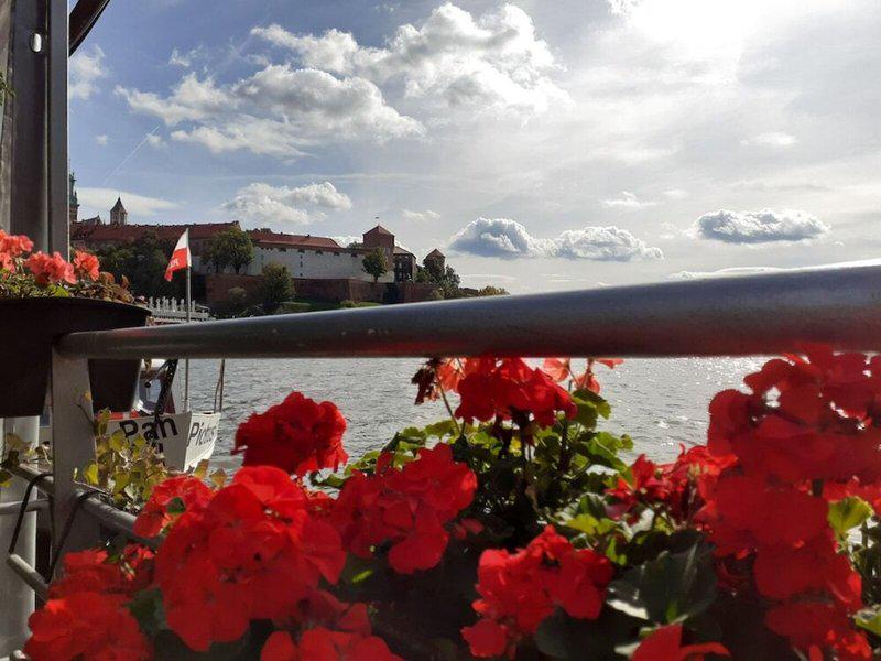 DA1D9BDDE9F52D461F6D79E67D06CF9B