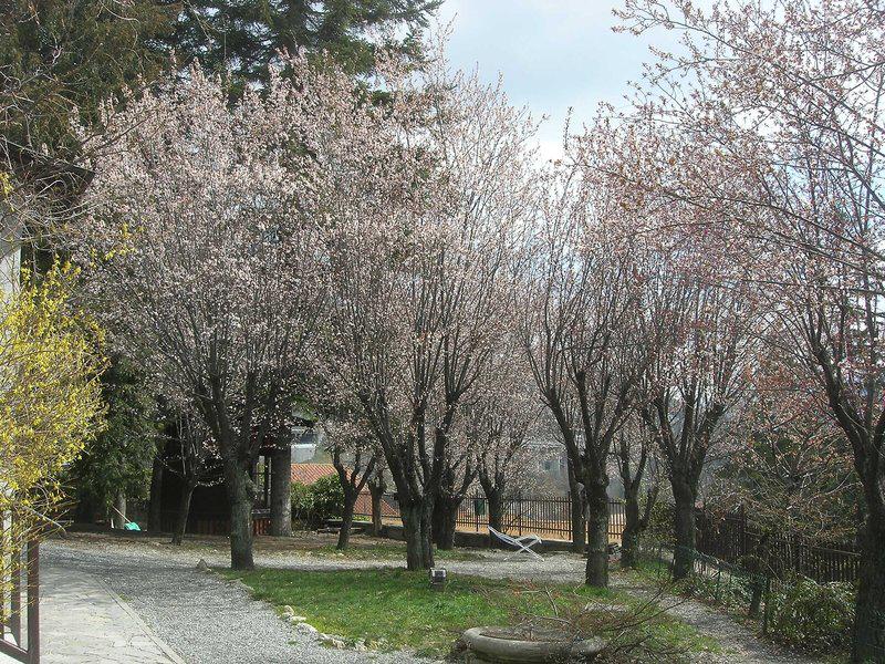 EFD8A265E86C6FB5B9DCA03ED5483AF9