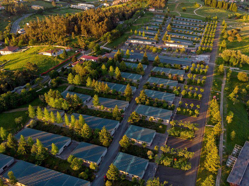 2687B77057BCF6EA76C45B6DE8D72667