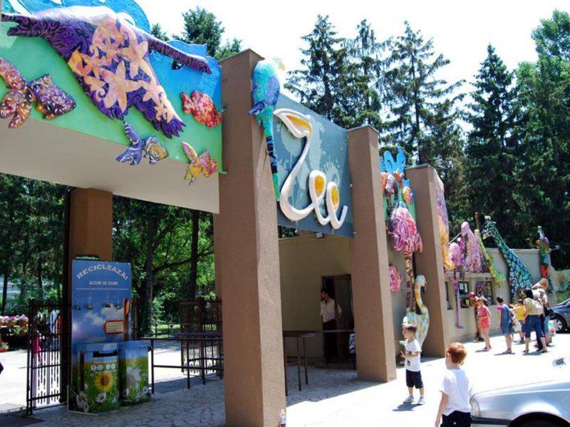 39EC0127F6B34DEF7F894CC1418160EA