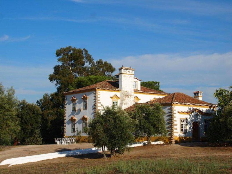 D5C855F10742892FD4E401F998DCAC80