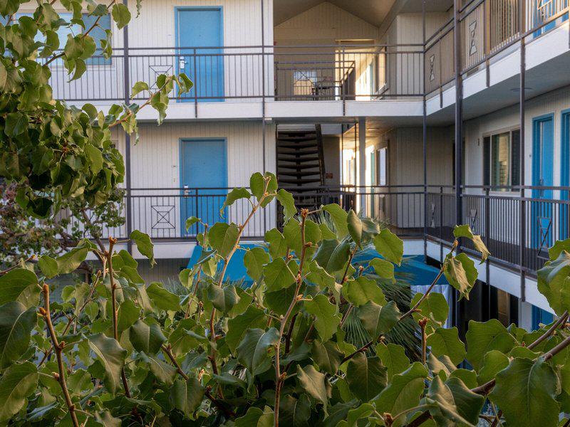 4505C0AFDCE65A50EF76D425D8C7E9B2