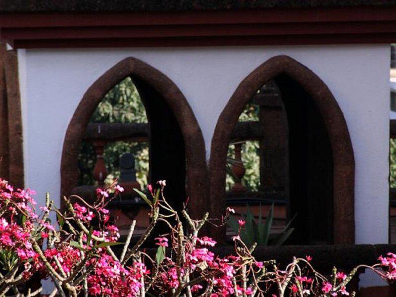 065B804CB04BDE3366495257B3767A4F