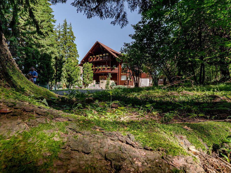 BF8C9ECD42B44F9F18A2405F6783FA3B