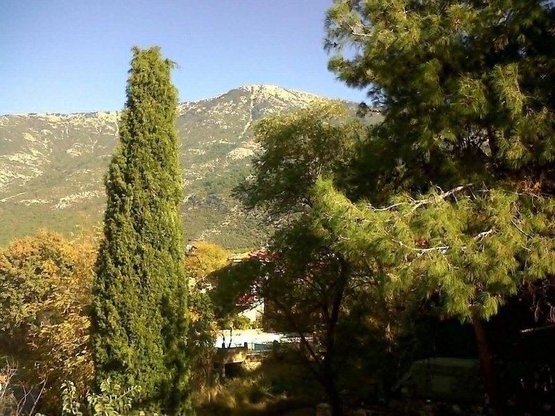 7334305706790D2F18DC284F27B7F21E