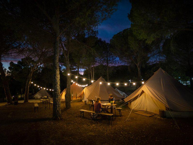 C090C7D8C3CDFF7566C194AFA9F50622