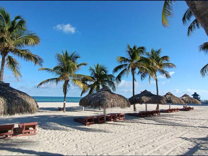 CC8294758FB3BA786743B4888903A08E