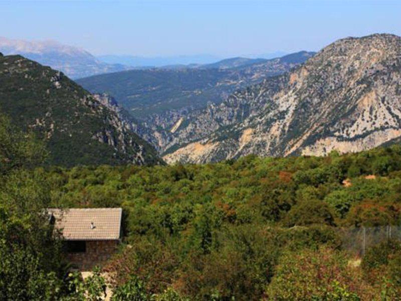 AEE7D428D162ED8A5B1403054D5DFC0F