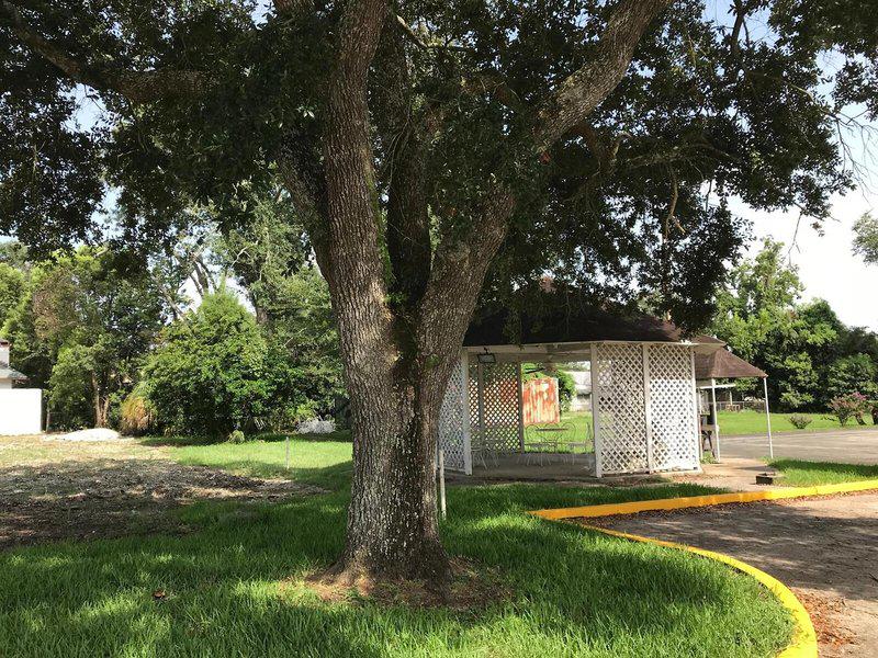 AFCB4A04B2B896F476698C28FD4C7470