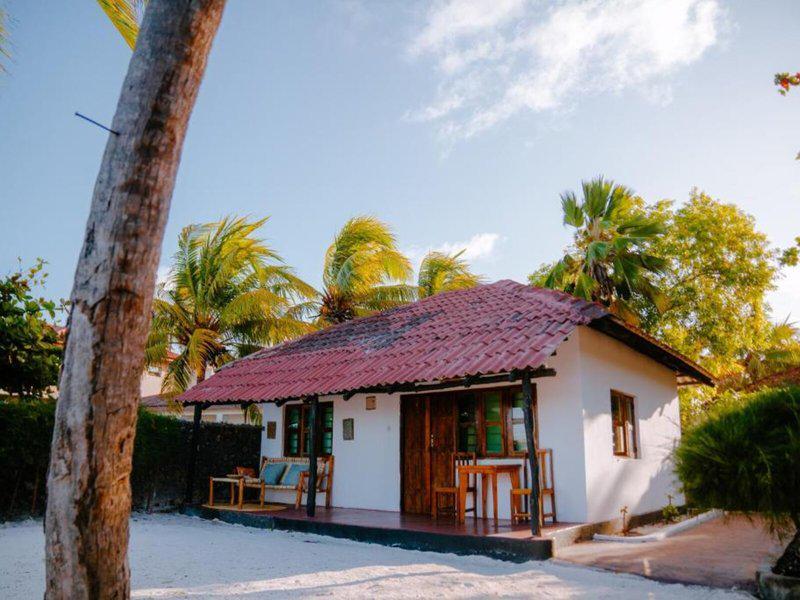 1629653C53A1546420CD7C83A4600DCB