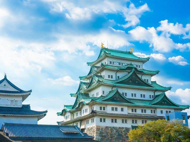 A6C4CF368DB488A15364634C6AFE5B56