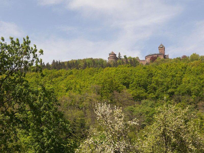 18428EB1CEC3655C9BEE21281EC34517