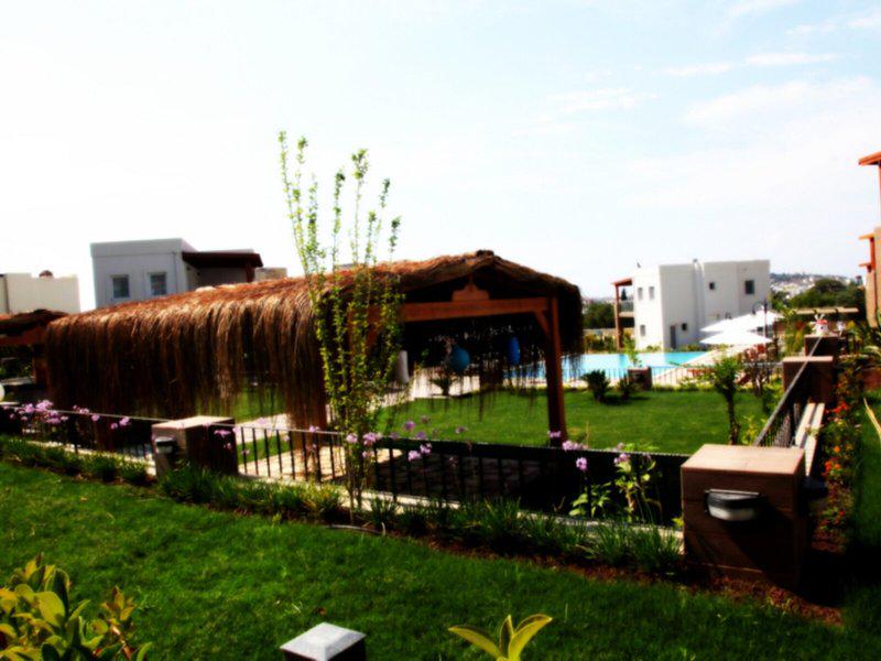 4EF17F177276C02B59F9661411247776