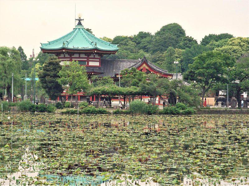 567EDEFE9A4FB9DAE94930E7B73B5084