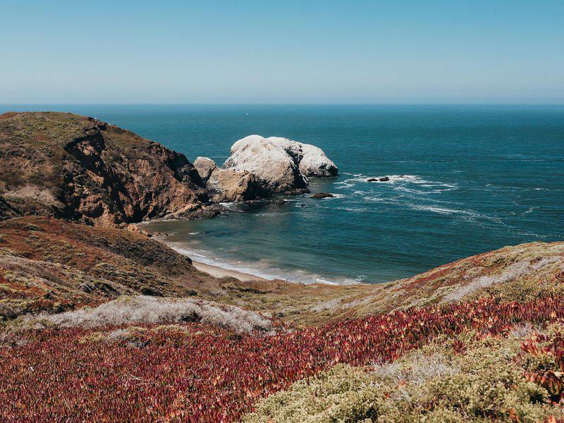 ED3E44550F3B4121A28B10162BD17518