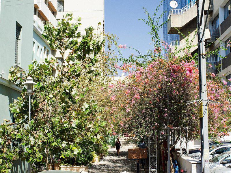 8ECFA50B6BFE0120E1CA4C7A80BBED3D