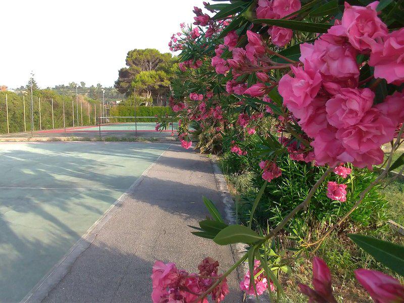 B19D7BC856CBF0C2C96B732D0C8CAEC7