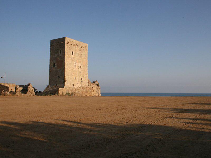 E06001436F63ED496B0796F09B87CD76