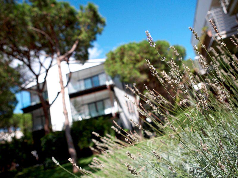 9F1C5782149FEE5CB4BBD33C8AAEFAE4