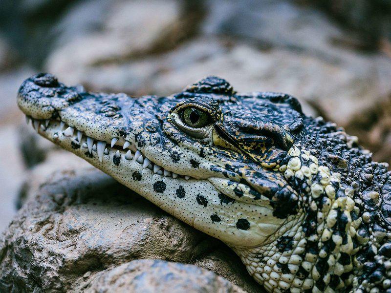 3BFB77AEDA7B0E959A1CB5920CE936D7