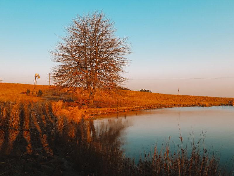 117713FC093179AB9B330480E4A2E617