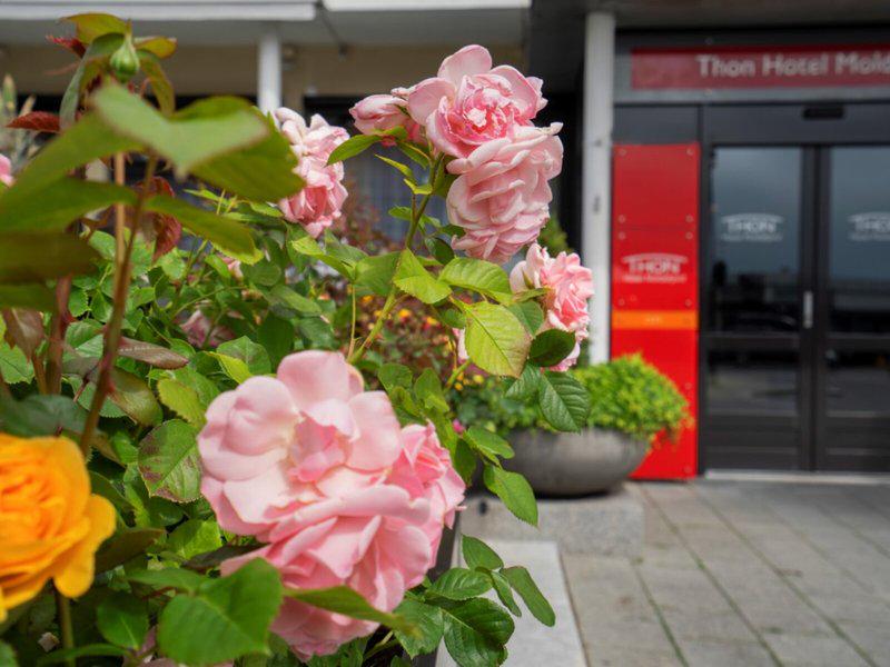 EB1535F82198D01D27BD552B941286EC