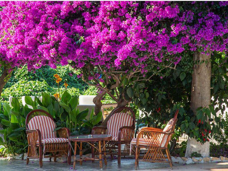 D9880550EE244F0E821710B5878BB5DF