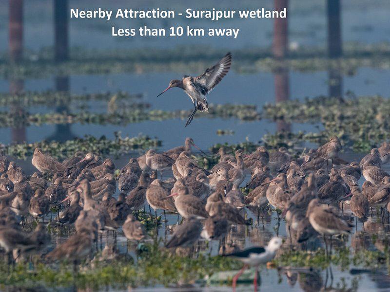 E8B24A045EBC3A27FBFCA57137826A59