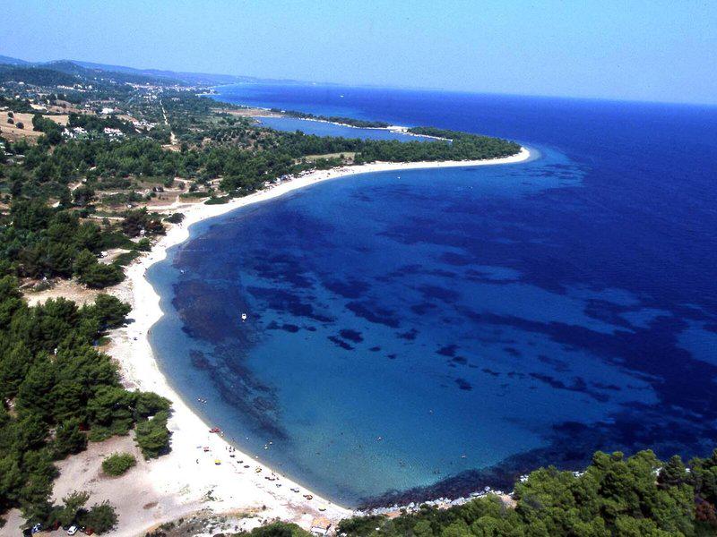 D096E7DEF175657A9DF0A51B2B3A2398