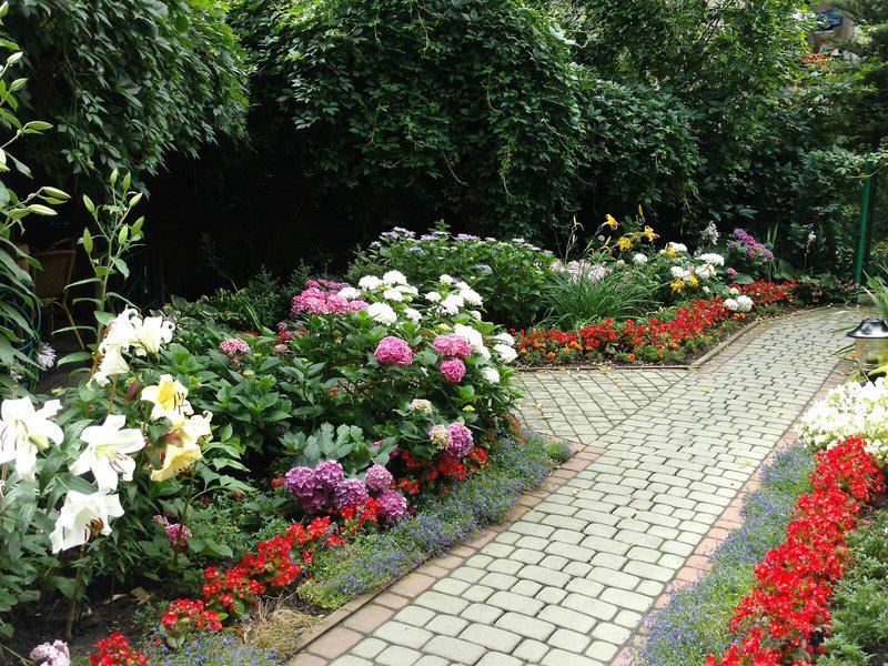 9D6A4B7B88D3BD3BD017401058E169B8