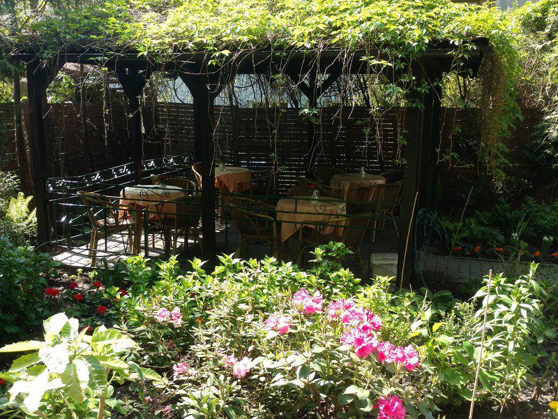 33512518543A51F7AC33DE4666B28774