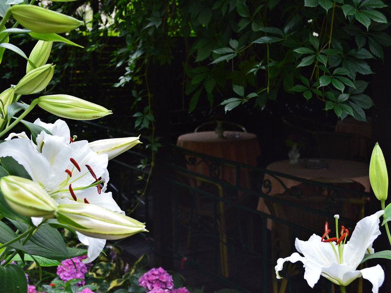 138D37332E7AF45391B11FBCC0E47C4F