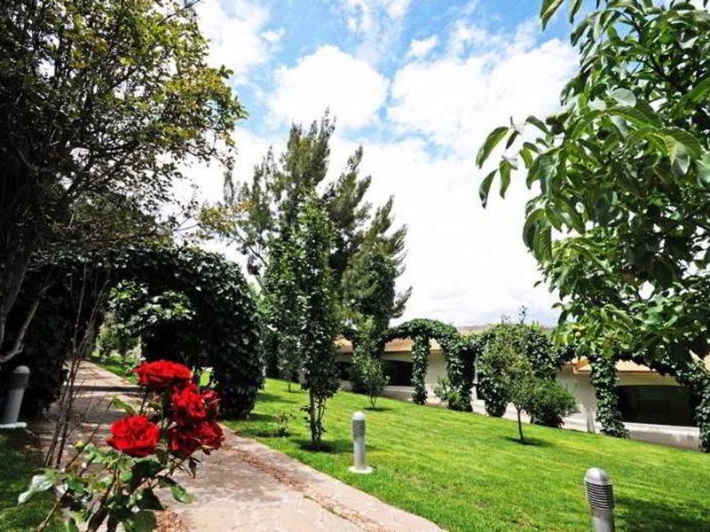 307C3BF509DE7165C2512315EE6E8088