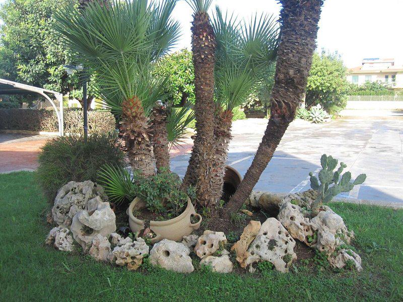 1A0AD260254AFD16C01830B85F40CF46