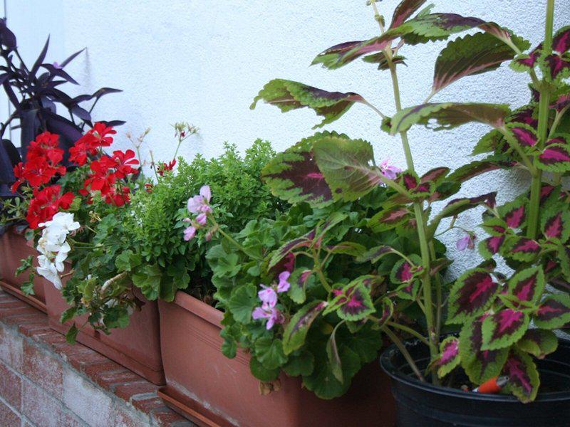 A4BCC5639AC84E21BC334B4B746AA640