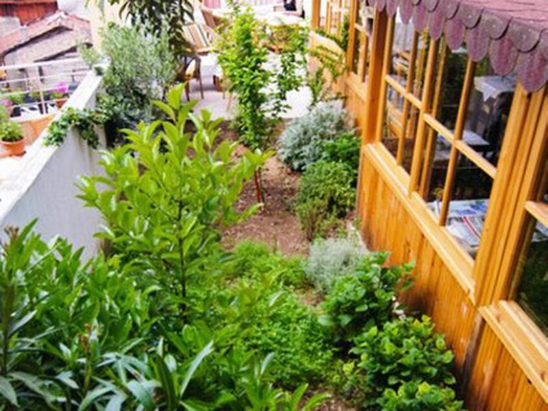 5A5A300BF5EC30C0C4DD143862392276