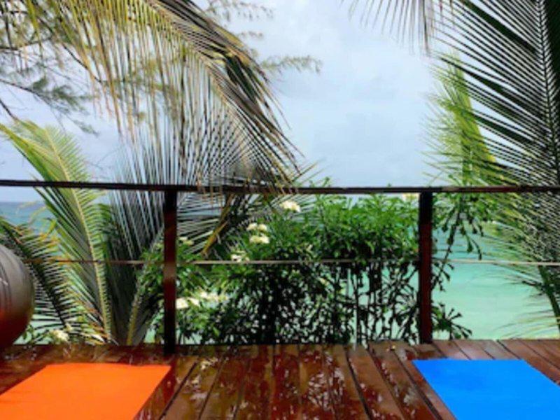 8E4BA538B04BDFC1FFBE66A2B1284560