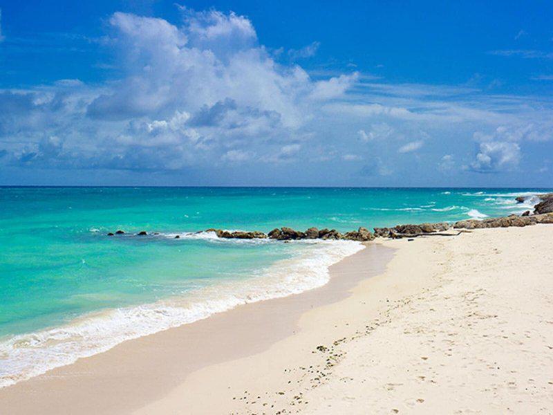 B6FB7AE14206204F370A3E6B04A13F58