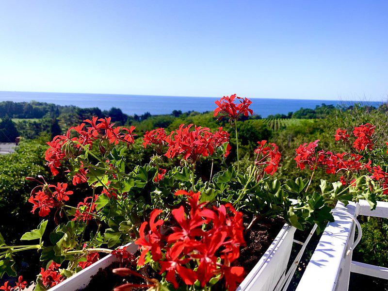 470C23634F66A58DE49738C9A8D03CE7