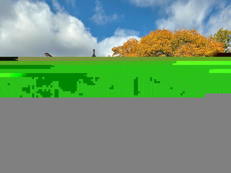 36104974896DF73E517115E15785F24B