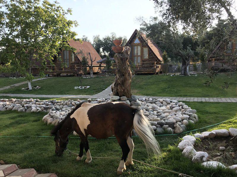 71B72E605300FB8E5D5DCA479A17AE9E