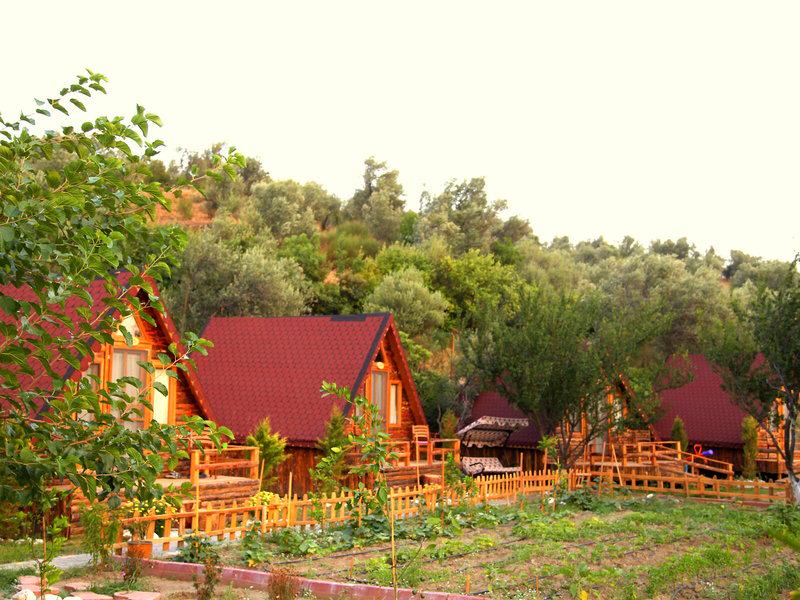 19AF173DA07921DDF5476113A031A896