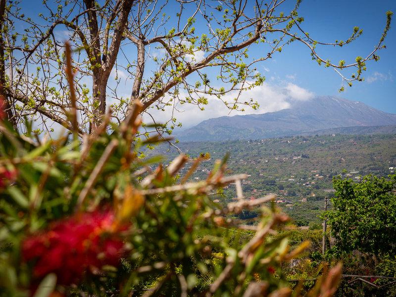 81715844B2125DB669B7A2CC5BC62F3A