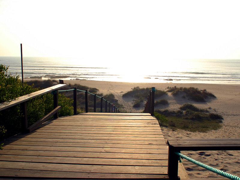 59141CEB9B533FB545E28A5E6BB7E393