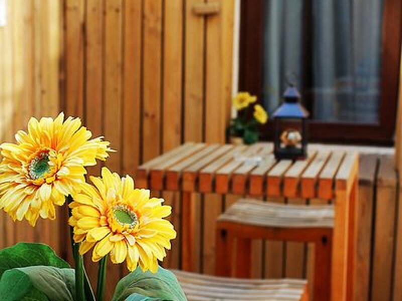 0E9E04A7BBD9F4BF944A4DAC53267A7C