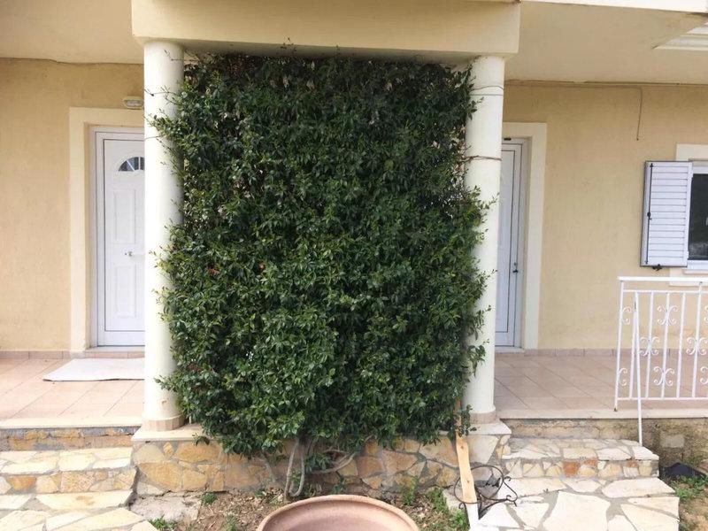 8A9821FC71CB0CE239E5E0783758AEF3