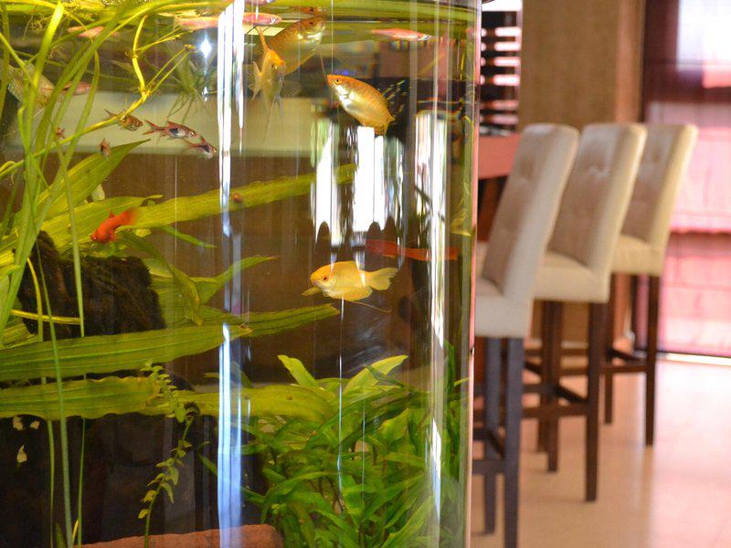 258259C14E031A2AFD8CB1D01728369A